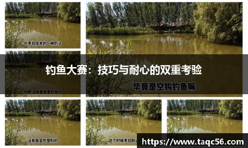 钓鱼大赛：技巧与耐心的双重考验